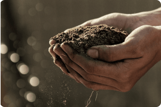 MeteoTrack Soil